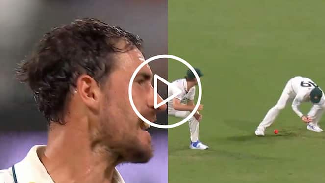 [Watch] Mitchell Starc Gets 'Angry' After Steve Smith Drops An Easy Catch vs WI